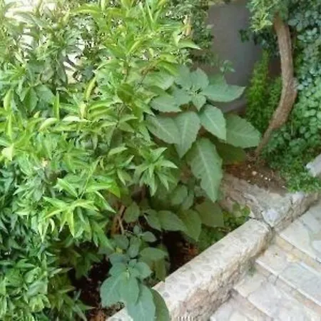 Levant Ventus Makrsk Apartment *