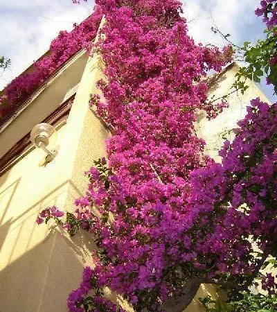 Levant Ventus Makrsk Apartment