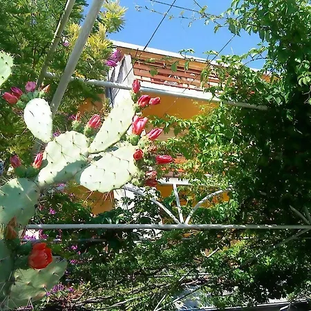 Levant Ventus Makrsk Apartment Makarska